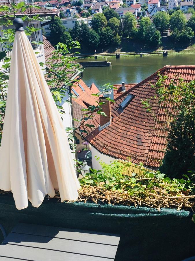 Natur Und Neckarblick Bei Heidelberg Hirschhorn Esterno foto