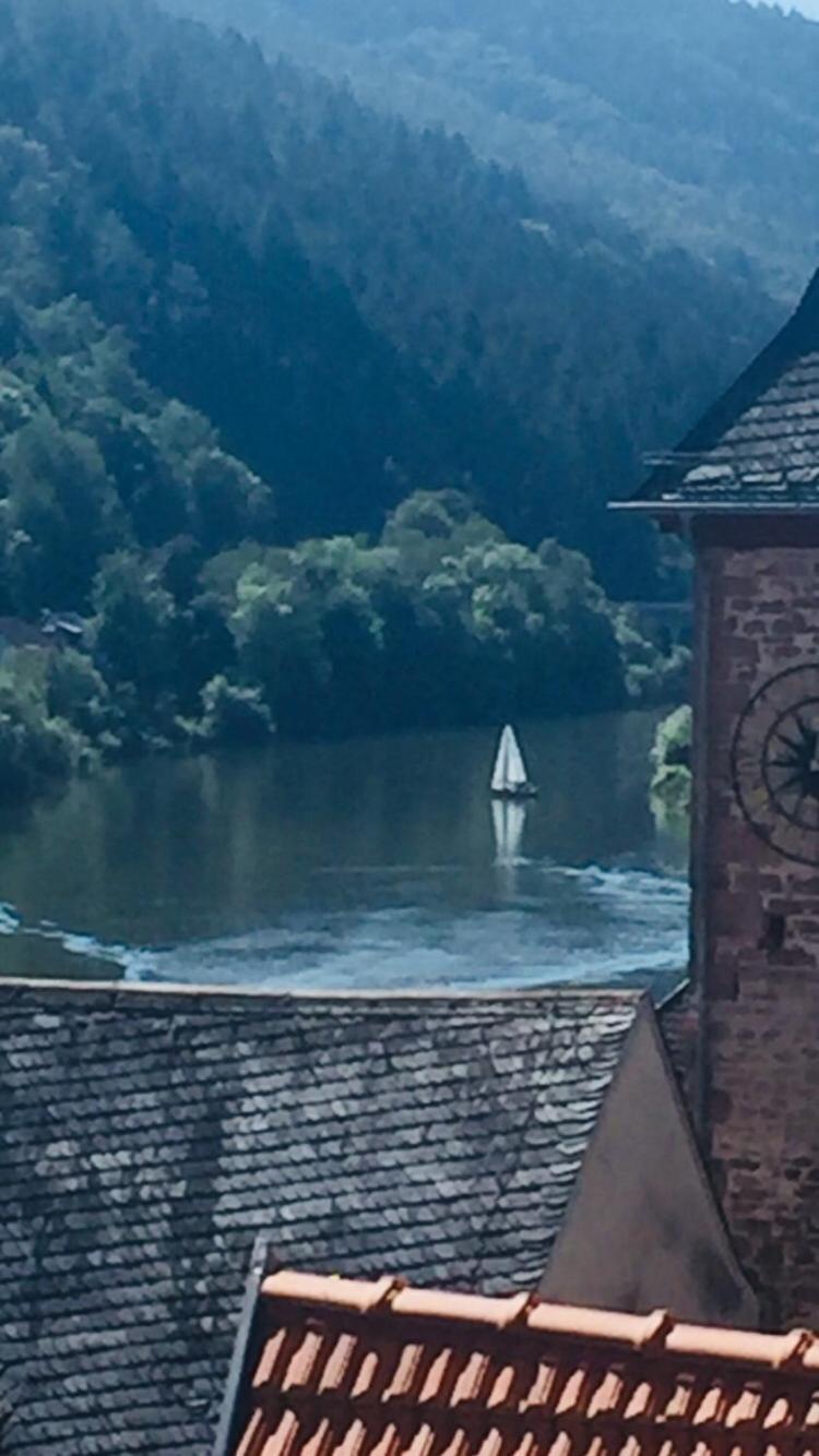Natur Und Neckarblick Bei Heidelberg Hirschhorn Esterno foto