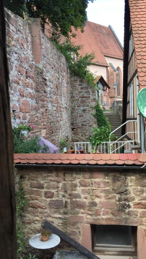 Natur Und Neckarblick Bei Heidelberg Hirschhorn Esterno foto