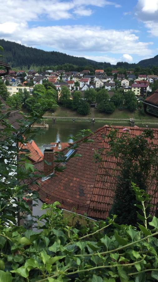 Natur Und Neckarblick Bei Heidelberg Hirschhorn Esterno foto