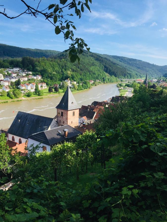 Natur Und Neckarblick Bei Heidelberg Hirschhorn Esterno foto