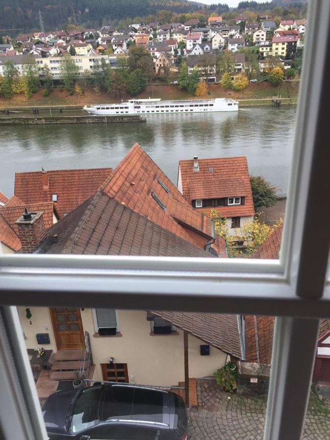 Natur Und Neckarblick Bei Heidelberg Hirschhorn Esterno foto