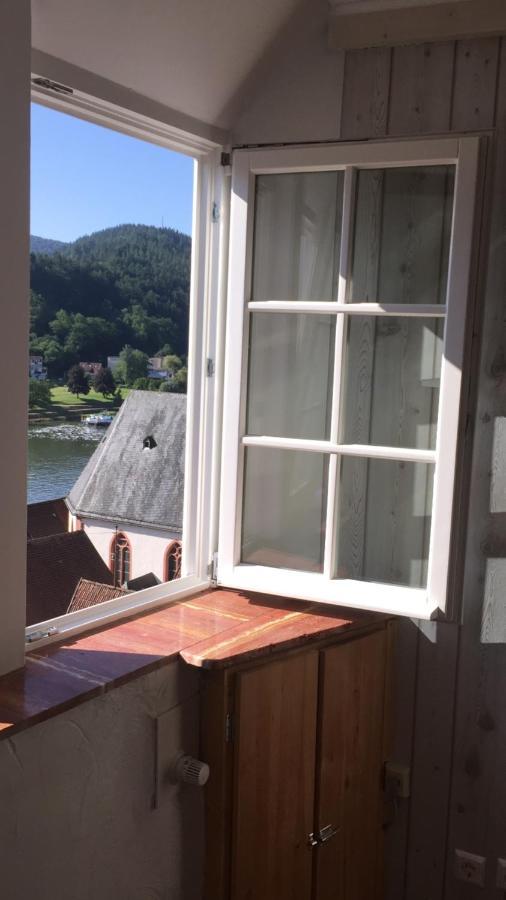 Natur Und Neckarblick Bei Heidelberg Hirschhorn Esterno foto