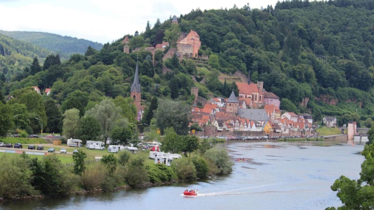 Natur Und Neckarblick Bei Heidelberg Hirschhorn Esterno foto