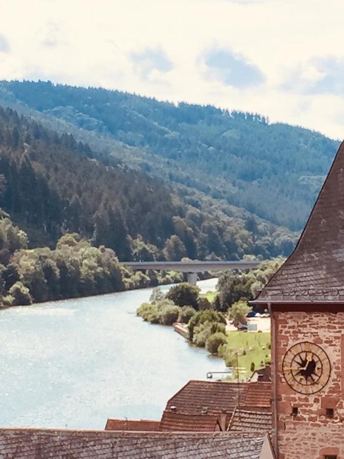 Natur Und Neckarblick Bei Heidelberg Hirschhorn Esterno foto