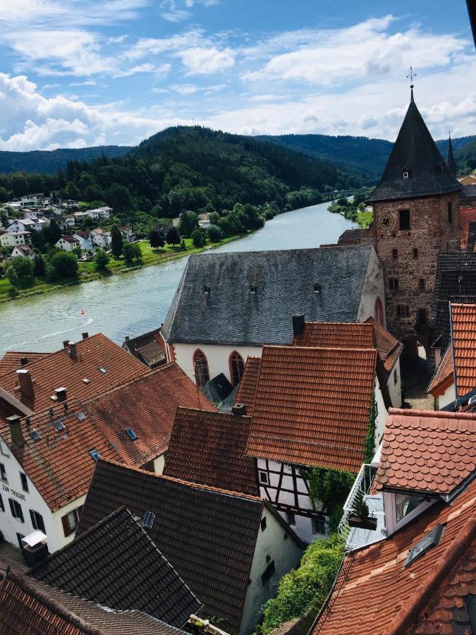 Natur Und Neckarblick Bei Heidelberg Hirschhorn Esterno foto