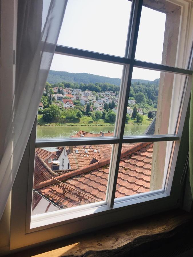 Natur Und Neckarblick Bei Heidelberg Hirschhorn Esterno foto