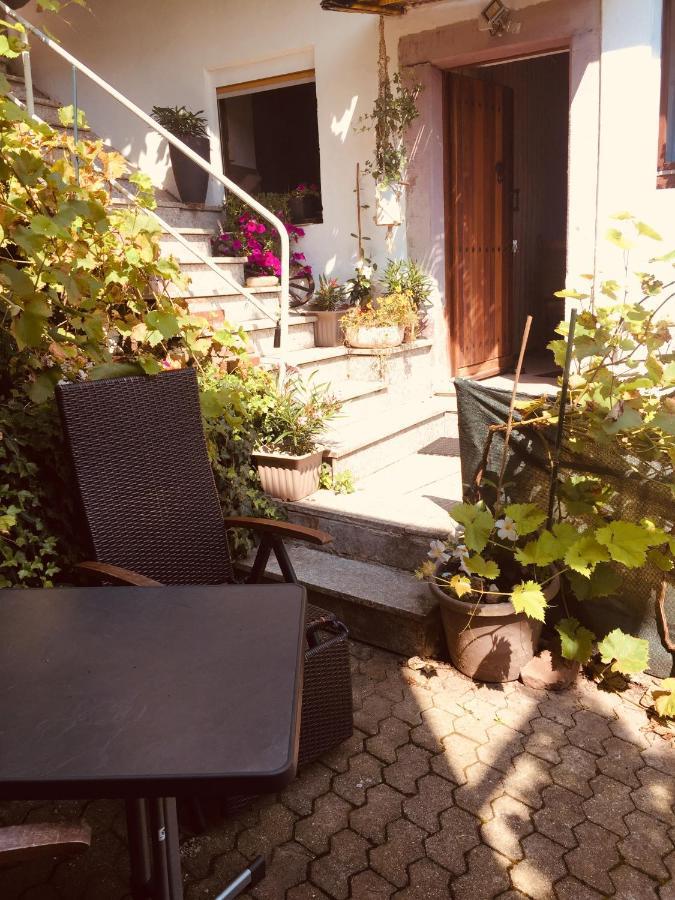Natur Und Neckarblick Bei Heidelberg Hirschhorn Esterno foto