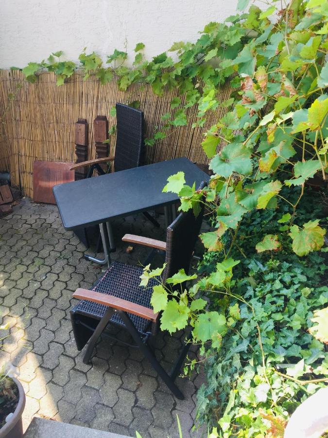 Natur Und Neckarblick Bei Heidelberg Hirschhorn Esterno foto