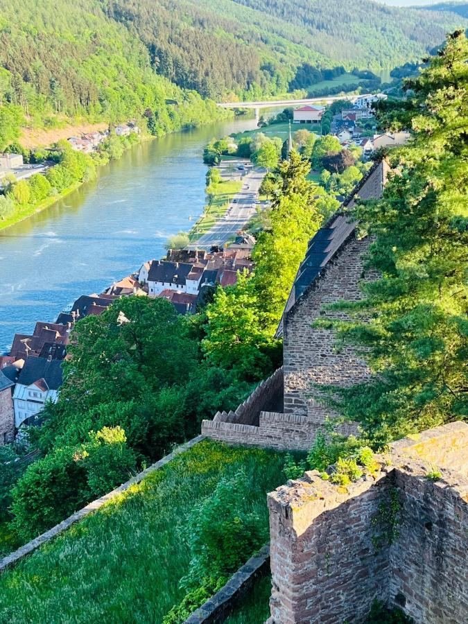 Natur Und Neckarblick Bei Heidelberg Hirschhorn Esterno foto