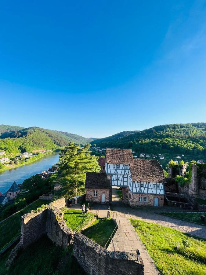Natur Und Neckarblick Bei Heidelberg Hirschhorn Esterno foto