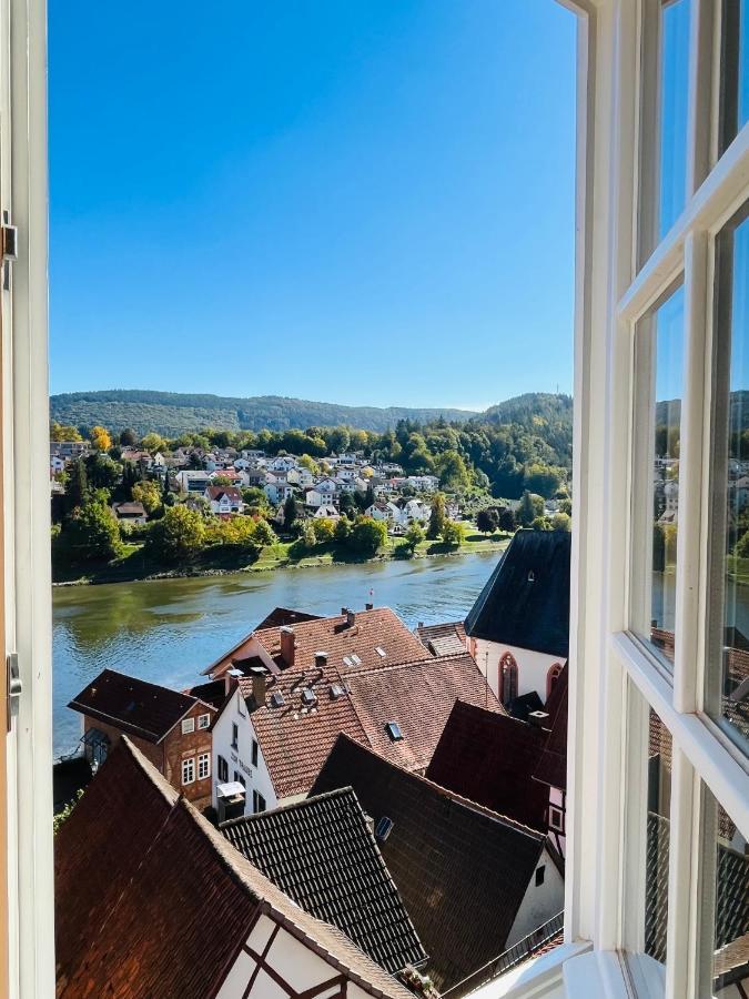 Natur Und Neckarblick Bei Heidelberg Hirschhorn Esterno foto
