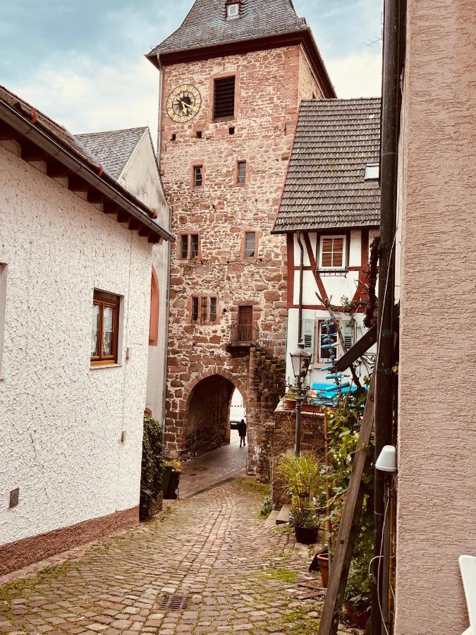 Natur Und Neckarblick Bei Heidelberg Hirschhorn Esterno foto