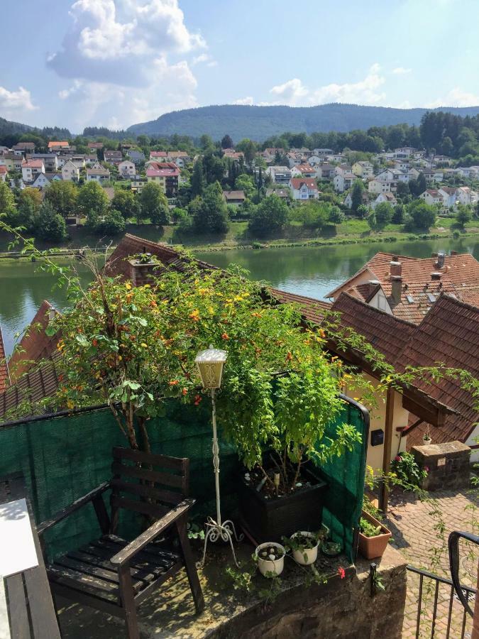 Natur Und Neckarblick Bei Heidelberg Hirschhorn Esterno foto