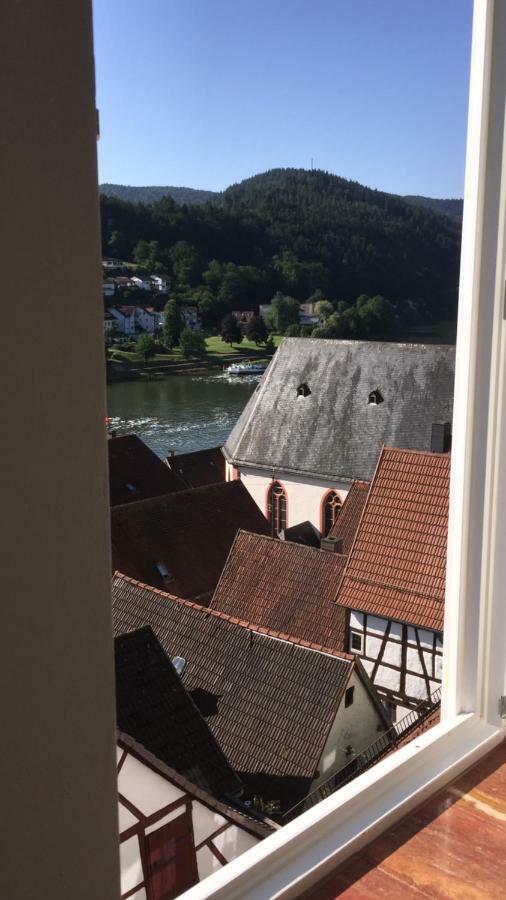 Natur Und Neckarblick Bei Heidelberg Hirschhorn Esterno foto
