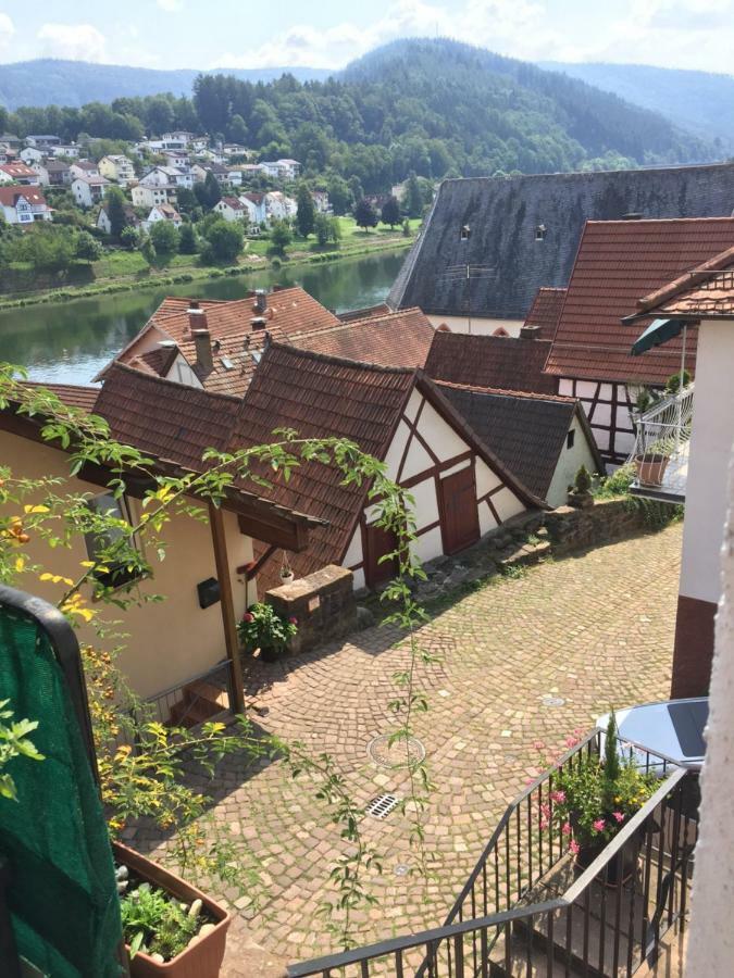 Natur Und Neckarblick Bei Heidelberg Hirschhorn Esterno foto