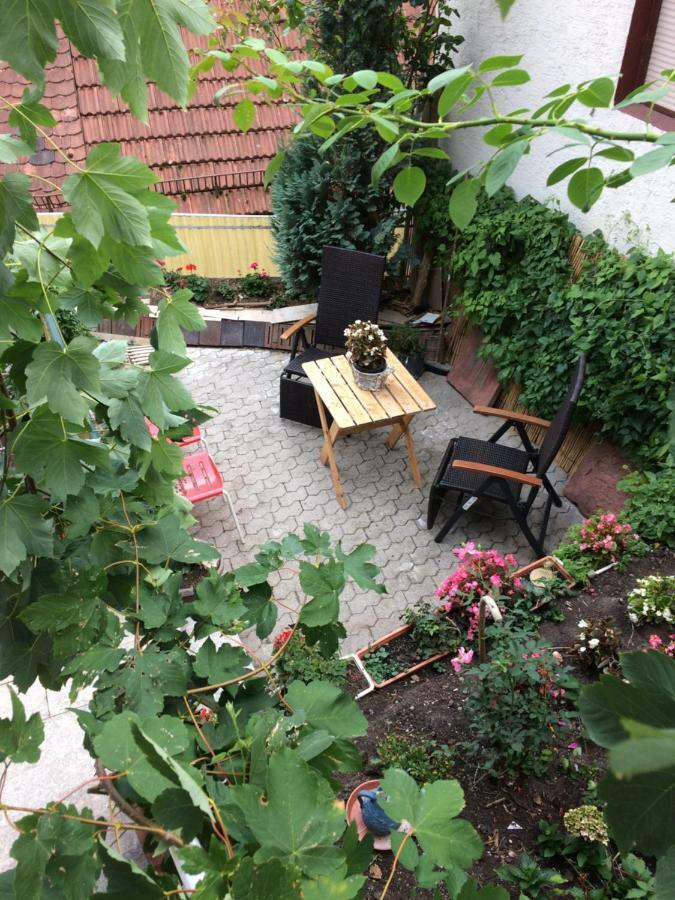 Natur Und Neckarblick Bei Heidelberg Hirschhorn Esterno foto